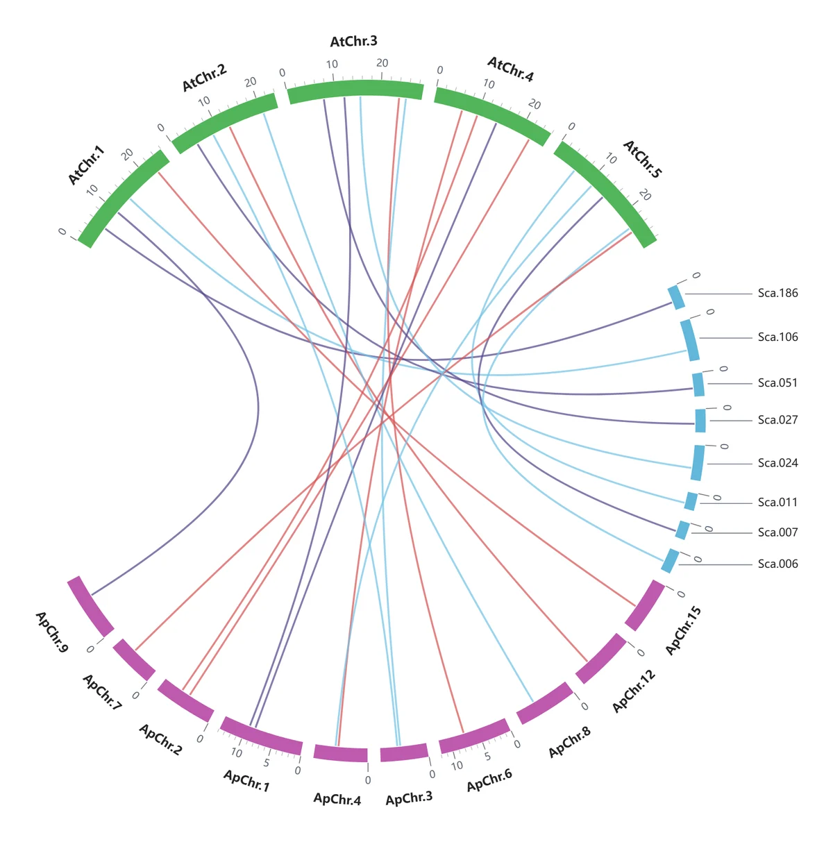 Circos collinearity chord diagram: continuous tracks with coordinate ticks and thin interval-to-interval mapping curves