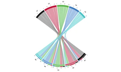 Double Fan Colorful Chord Diagram Generator