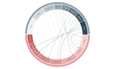 Two-Tone Ring Chord Diagram Generator - Bipartite Flow Chart